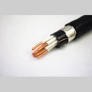 КВБбШвнг(A)-ХЛ 14x0.75