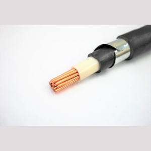 ���� 1x50-0.66